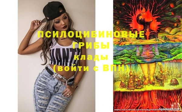 спайс Нея