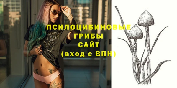 спайс Нея