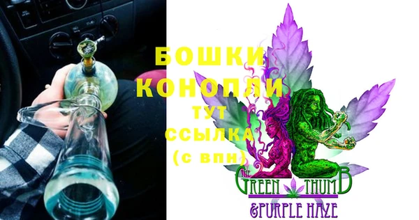 спайс Нея