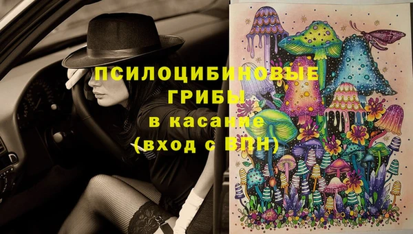меф Нефтегорск